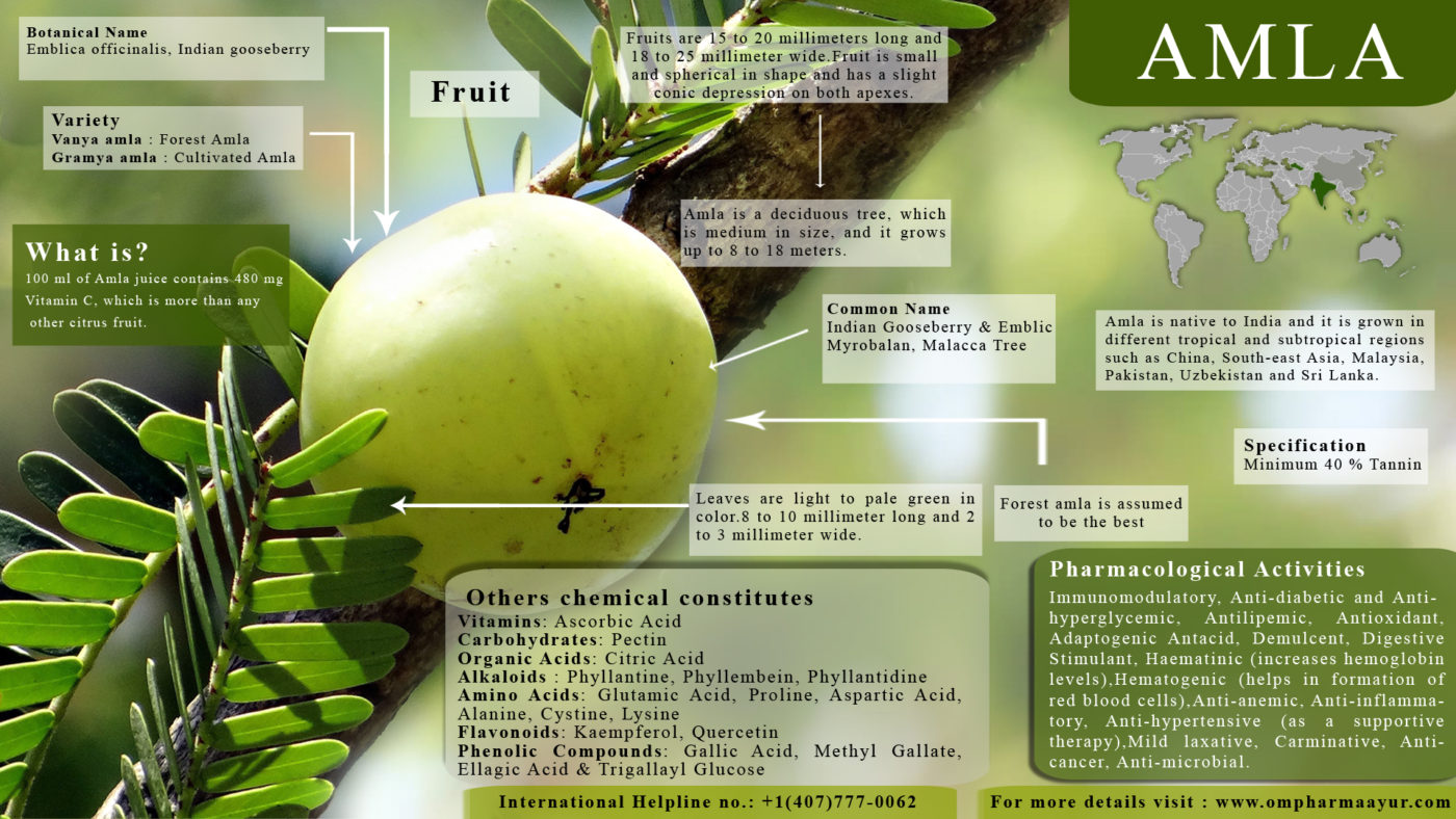 AMLA-copy-1400x788