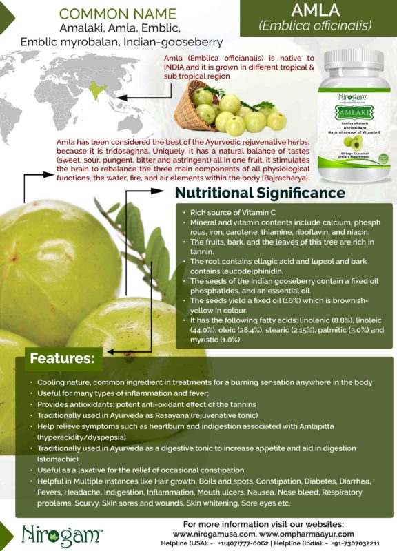 amla-infographic-576x800