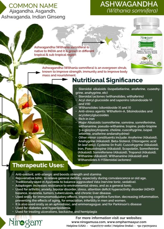 ashwagandha-infographic-576x800