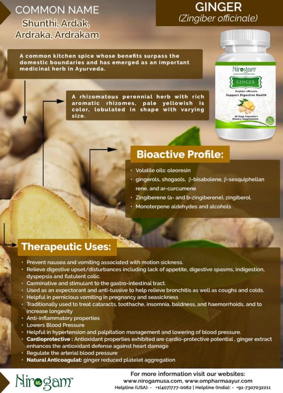 ginger-infographic-576x800
