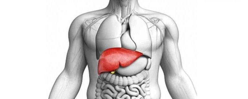 liver-cirrhosis