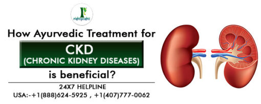 How Ayurvedic Treatment for CKD (Chronic Kidney Diseases) is beneficial?