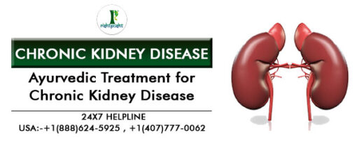 Chronic Kidney Disease :  Ayurvedic Treatment for Chronic Kidney Disease