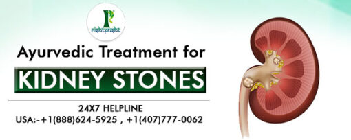 Ayurvedic Treatment for Kidney Stones