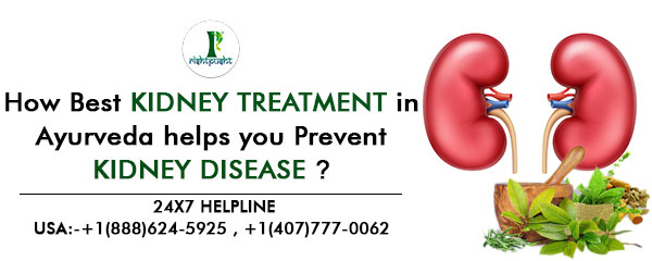 How Best Kidney Treatment in Ayurveda helps you Prevent Kidney disease
