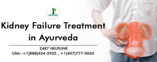 kidney-failure-treatment-in-ayurveda-510x204 (1)