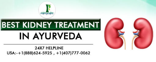 best-kidney-treatment-in-ayurveda-510x204