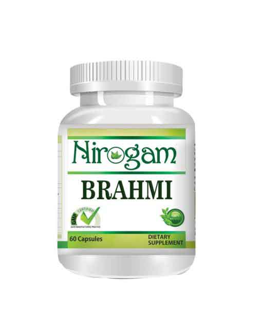 Brahmi  (Bacopa monnieri) - Indian Pennyworte