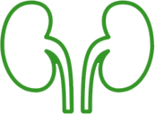 kidneyy